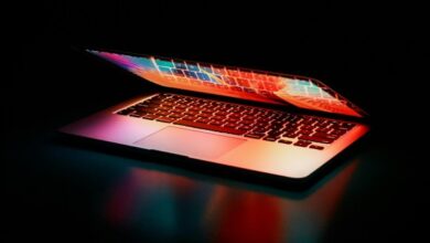 Dutch Online Casinos