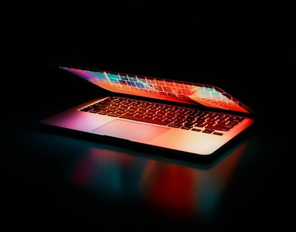 Dutch Online Casinos